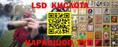 a pvp Кингисепп