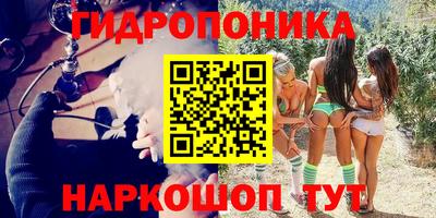 a pvp Кингисепп