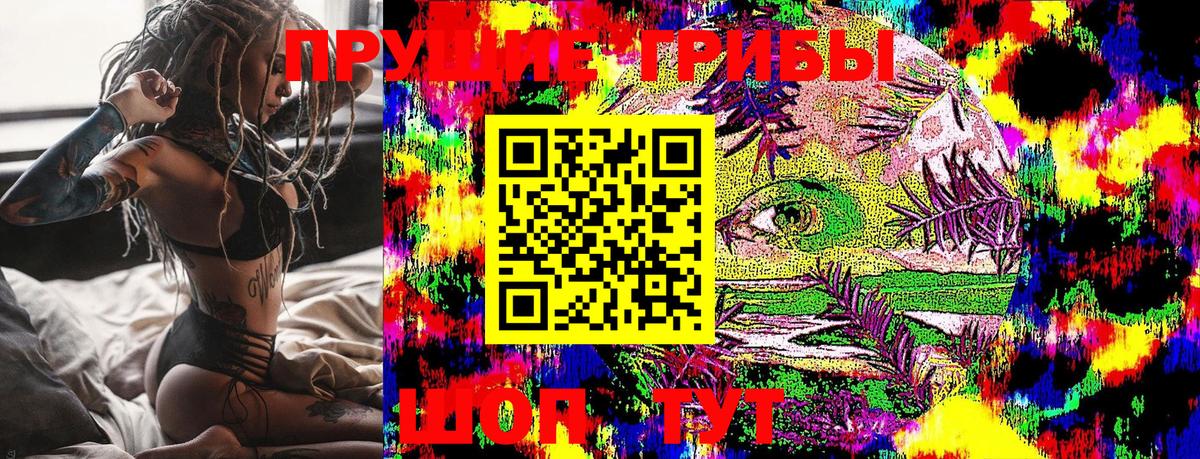 Котовск  наркотики  Вход с VPN  Галлюциногенные грибы Psilocybine cubensis 