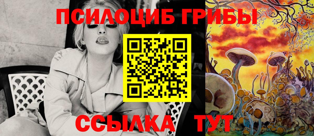Галлюциногенные грибы GOLDEN TEACHER Котовск