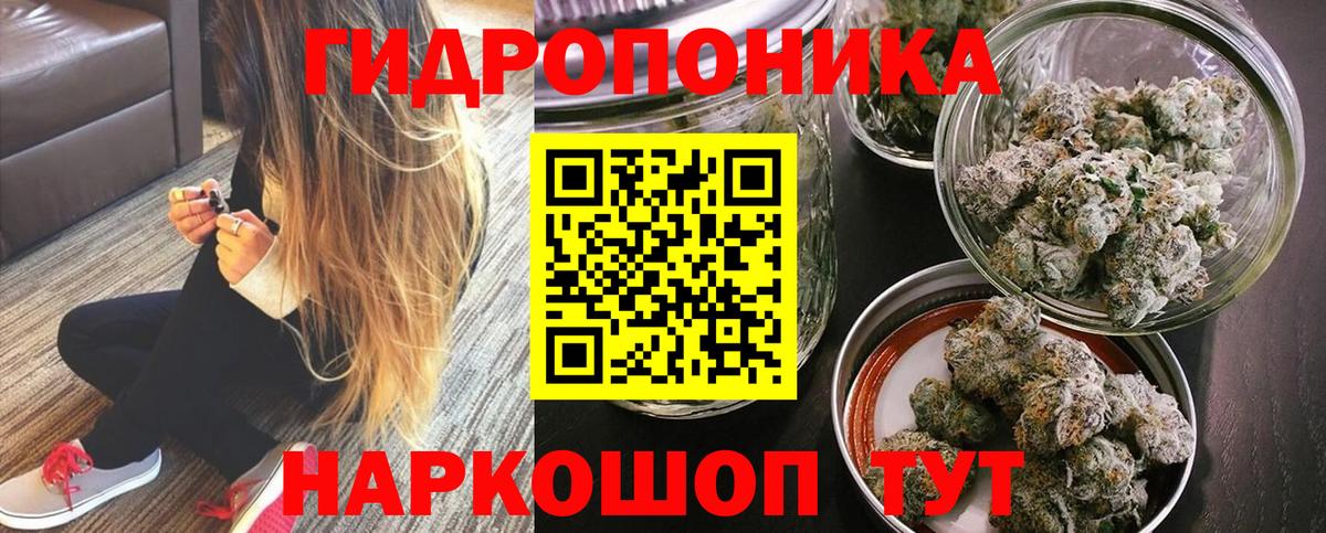 Канабис Amnesia  Конопля сатива  Конопля Amnesia  Вход с VPN  Котовск 